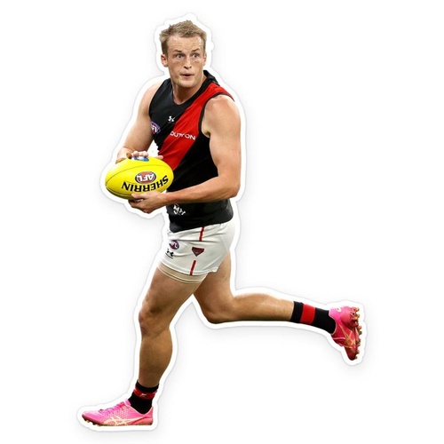 Essendon Bombers Mason Redman  Wall Decal