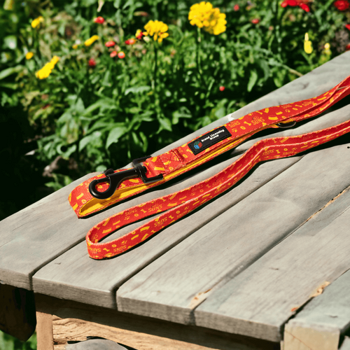 Gold Coast Suns Dog Lead