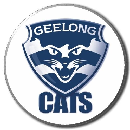 Geelong Cats 2025 Metal Pin Badge - LOGO