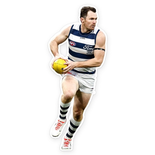 Geelong Cats Patrick Dangerfield Wall Decal