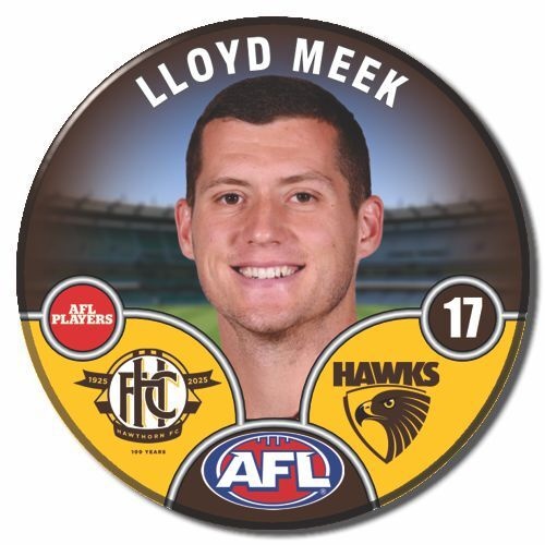 Hawthorn Hawks 2025 Player Pin Badge - MEEK