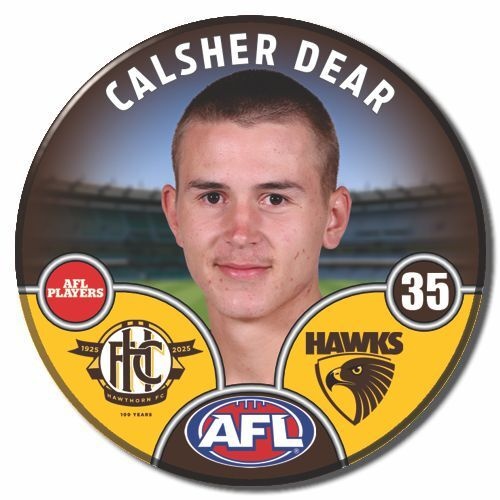 Hawthorn Hawks 2025 Player Pin Badge - DEAR