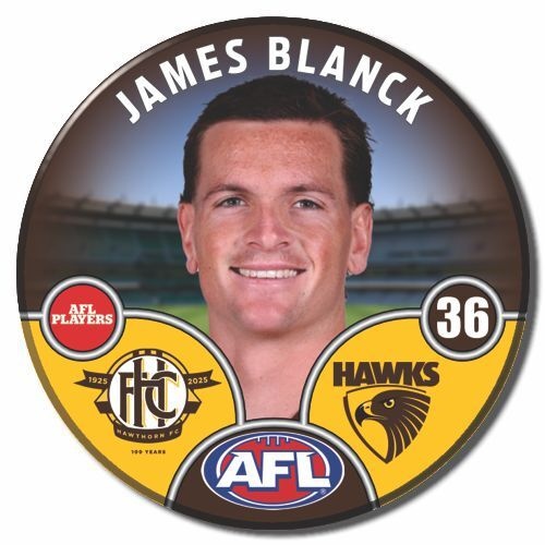 Hawthorn Hawks 2025 Player Pin Badge - BLANCK