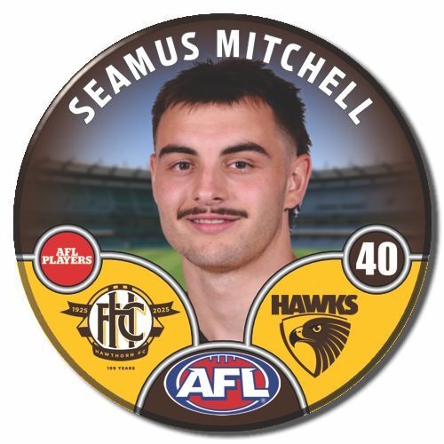 Hawthorn Hawks 2025 Player Pin Badge - MITCHELL