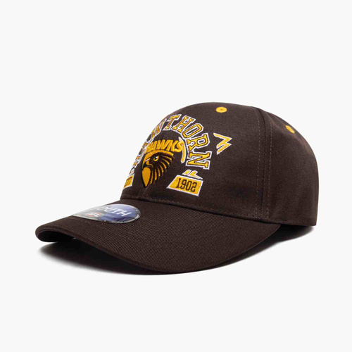 Hawthorn Hawks Youths Banner Cap