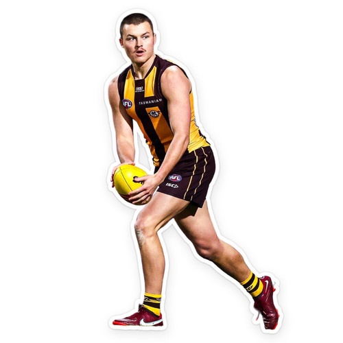 Hawthorn Hawks Jack Ginnivan Wall Decal