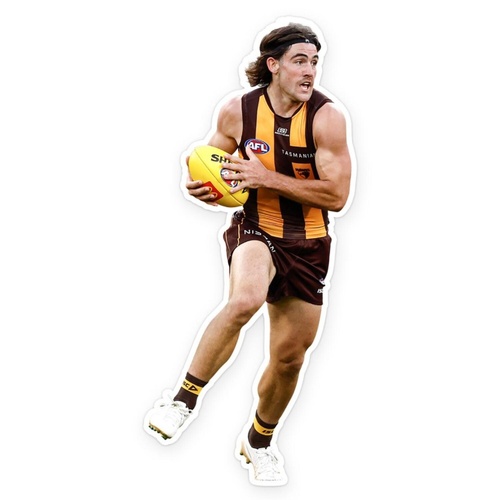 Hawthorn Hawks Jai Newcombe Wall Decal
