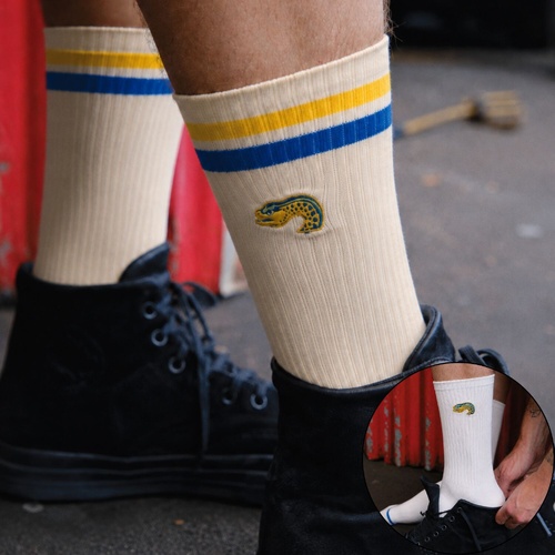 Parramatta Eels Sneaker Socks 2 Pack Gift Box