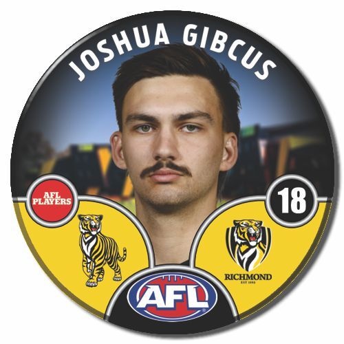 Richmond Tigers 2025 Player Pin Badge - GIBCUS