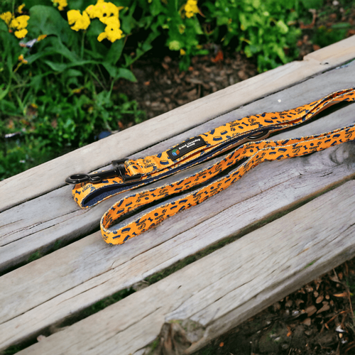 West Coast Eagles Dog Lead